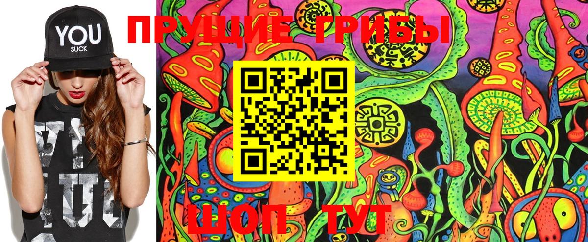 Псилоцибиновые грибы Cubensis  Галлюциногенные грибы Psilocybe  Вход с VPN  Батайск 