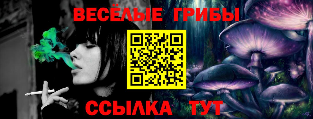 Псилоцибиновые грибы мицелий Батайск