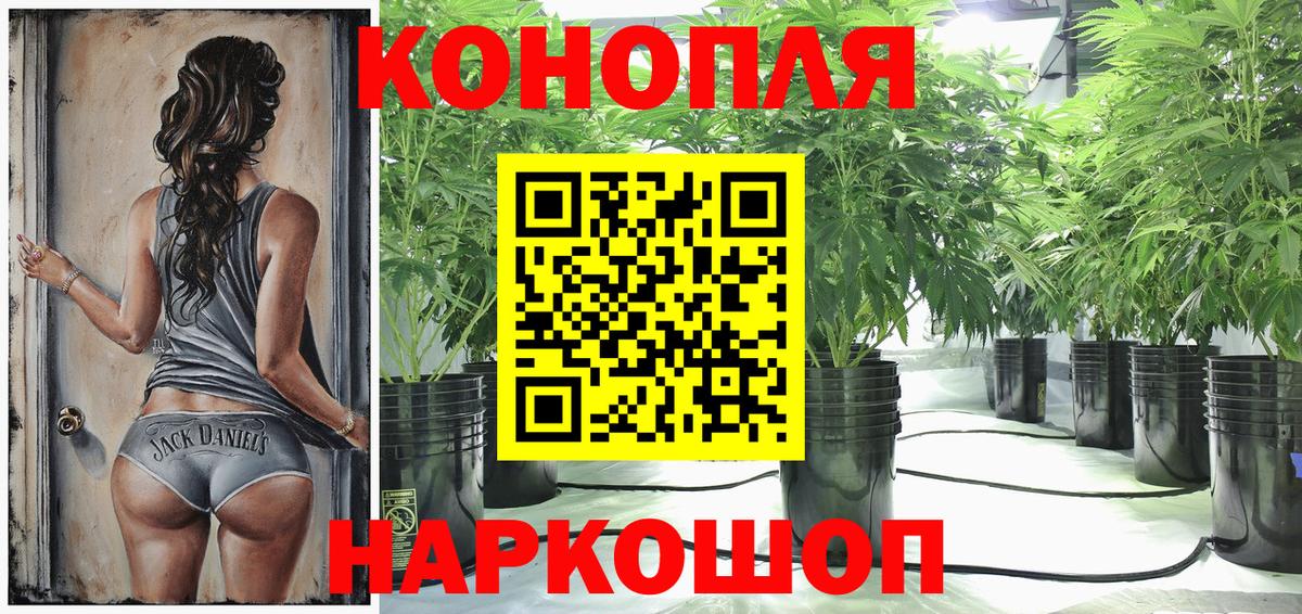 Канабис SATIVA & INDICA  Вход с VPN  Каннабис SATIVA & INDICA  Шишки марихуана White Widow  Батайск  Шишки марихуана конопля 